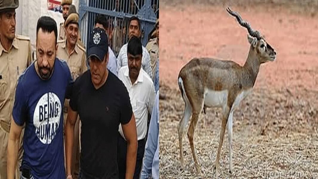 काला हिरण शिकार मामले में सुनवाई 17 जुलाई को, सलमान खान ने सजा के खिलाफ दायर किया याचिका