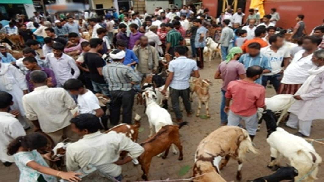 वाराणसी: बकरा मंडी में आया सवा लाख का बकरा