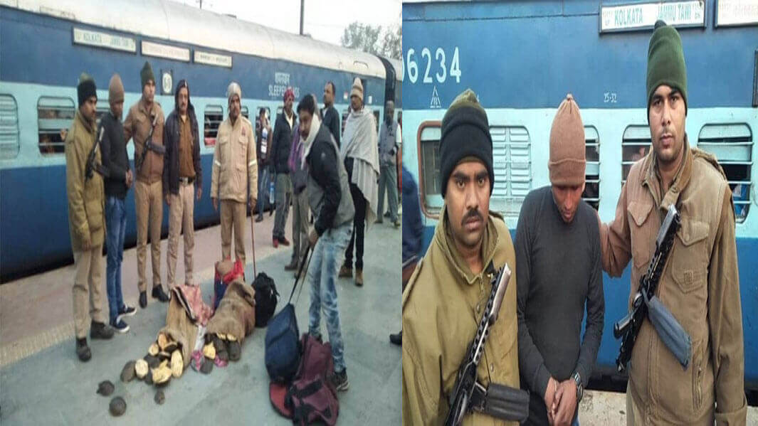 5 बोरी कछुओं के साथ जा रहा था कलकत्ता, Cantt RPF ने धर दबोचा